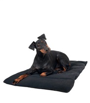 Back on Track Hundfilt, H�lsa & V�lm�ende - Back on Track