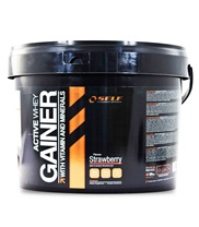 New Active Whey Gainer 4000g
