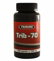 Trib-70, Muskelbyggande - Fairing