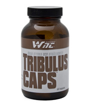 Tribulus Caps, Muskelbyggande - WNT