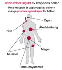 Miniatyr extrabild 1