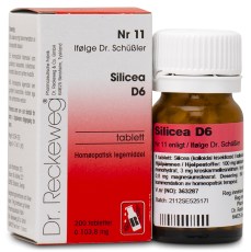 Dr. Reckeweg Cellsalt nr 11 Silicea D6
