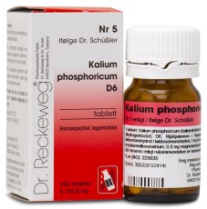 Dr. Reckeweg Cellsalt nr 5 Kalium phosphoricum D6