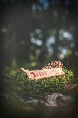 Miniatyr extrabild 2