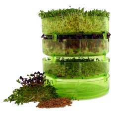 Miniatyr extrabild 2