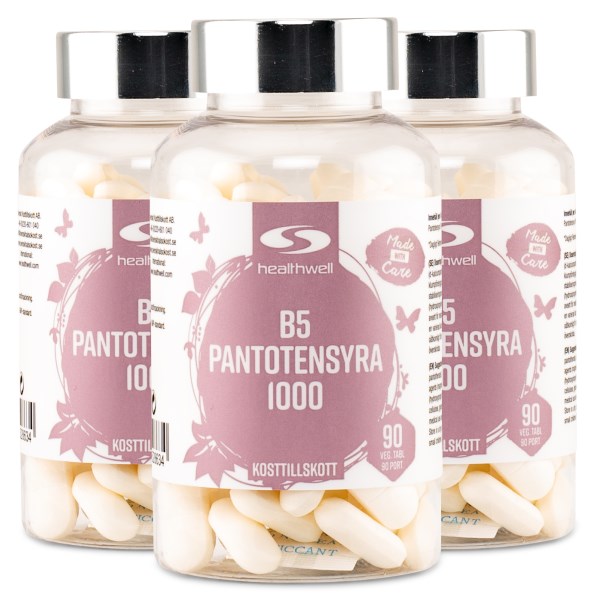 Healthwell B5 Pantotensyra 1000, 270 tabl