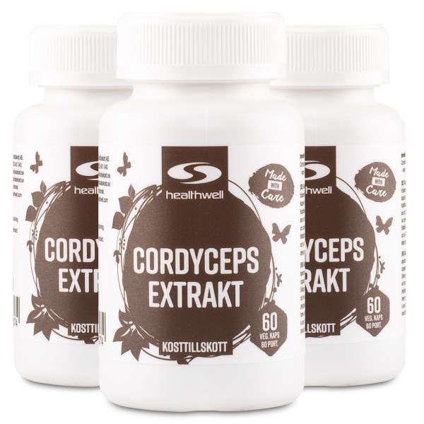 Healthwell Cordyceps Extrakt, 180 kaps