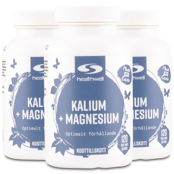 Healthwell Kalium+Magnesium, 360 kaps