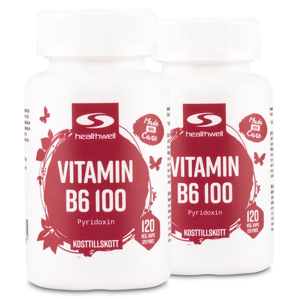 Healthwell Vitamin B6 100, 240 kaps