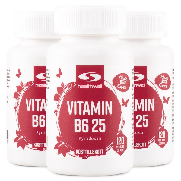 Healthwell Vitamin B6 25, 360 kaps