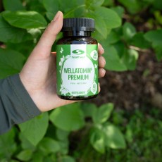 Miniatyr extrabild 1