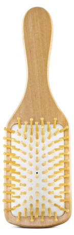 Miniatyrbild Hjrtligt Hrborste Cirkulation, 1 st