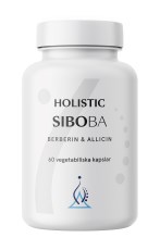 Holistic Siboba
