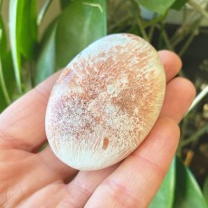 Miniatyr extrabild 1