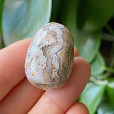 Miniatyr extrabild 2