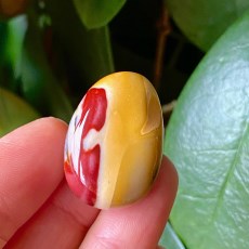 Miniatyr extrabild 2