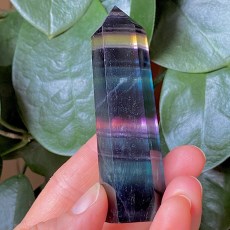 Miniatyr extrabild 1