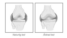 Miniatyr extrabild 1