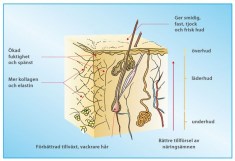 Miniatyr extrabild 1