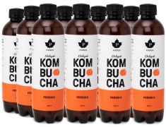 Pureness Kombucha Eko