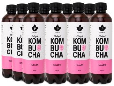 Pureness Kombucha Eko