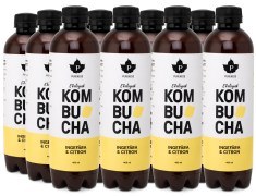 Pureness Kombucha Eko