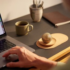 Miniatyr extrabild 1