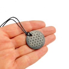 Miniatyr extrabild 1