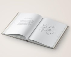 Miniatyr extrabild 2