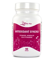 Antioxidant Synergi
