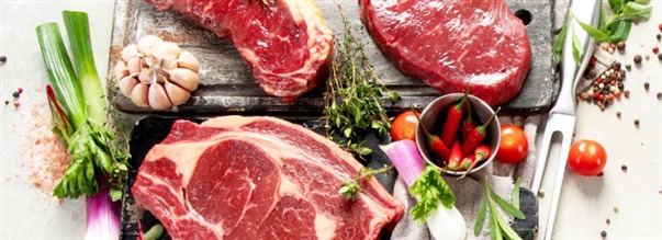 Hur fungerar carnivore-dieten?