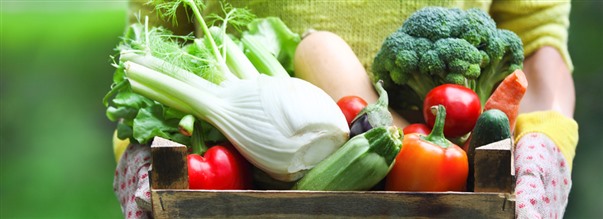 Ekologiska livsmedel