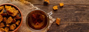 Chaga - en riktig nringsbomb