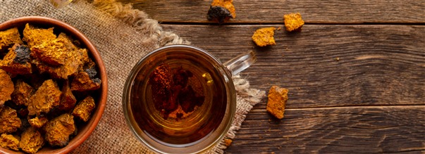 Chaga - en riktig nringsbomb