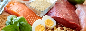 Stor guide: allt om protein