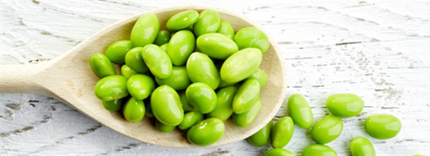 Hur bra r sojaprotein?