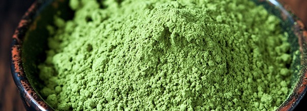 Allt om hlsodrycken matcha