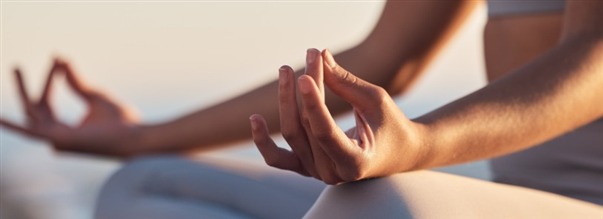 Nyb�rjarguide till meditation