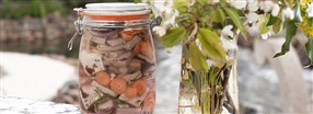 Vegansk matjessill