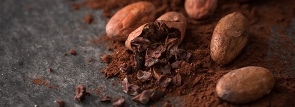 Allt om kakao