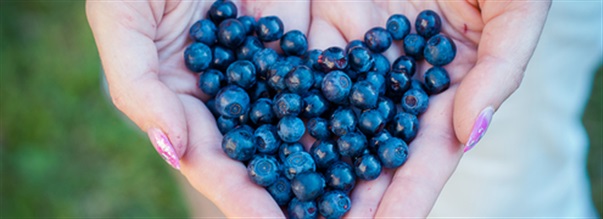 Drfr r blbr s nyttigt