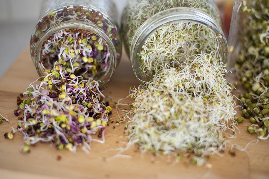 Frdiga groddar i glasburkar