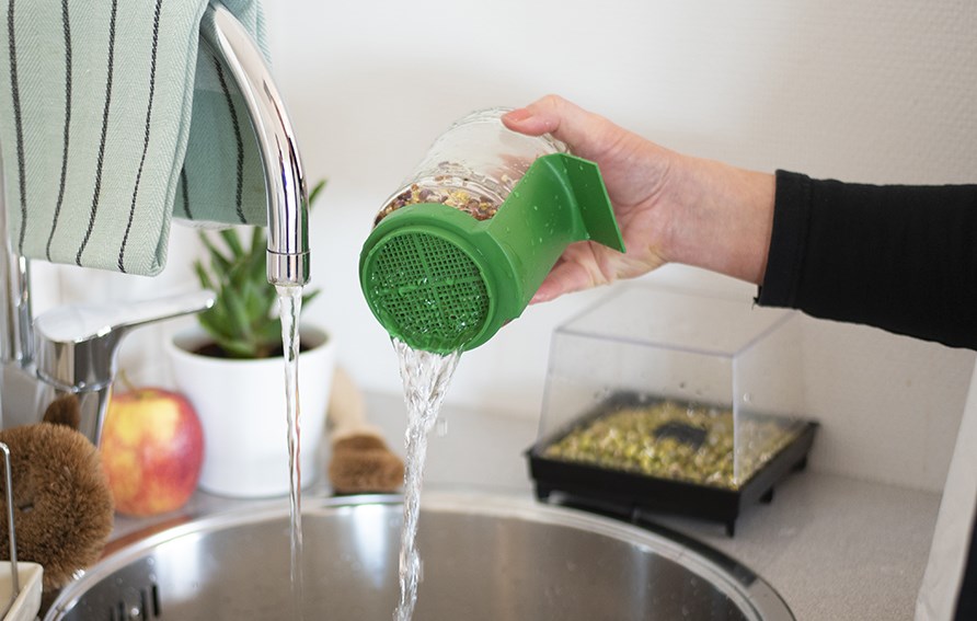 Groddar blir avhllda