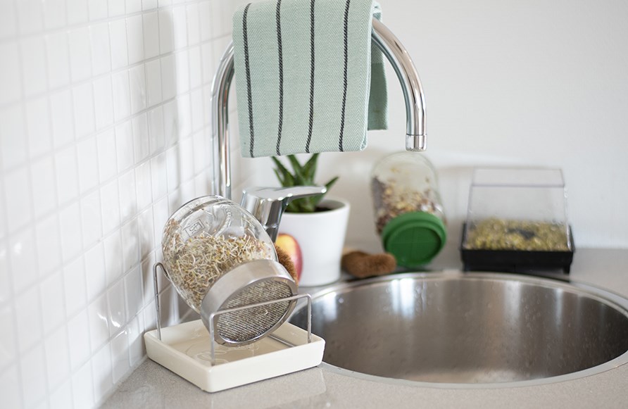 Placering av groddar