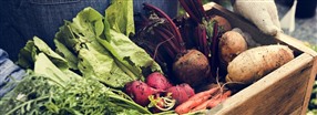 Receptmeny fr en detox