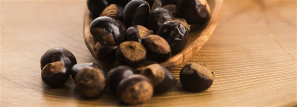 Allt om koffeinrika guarana