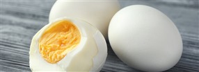 ggprotein som kosttillskott