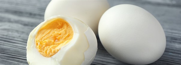 ggprotein som kosttillskott