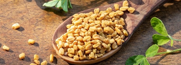 Vad r bockhornsklver?