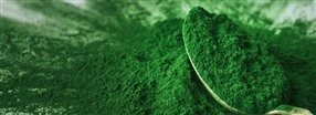 Drfr pratar alla om superalgen Chlorella - naturens egen hlsobomb